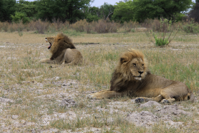 Experience Reise nach Botswana