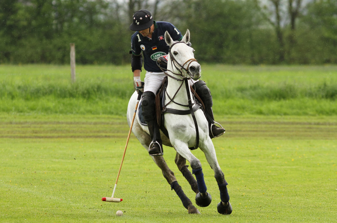 Land Rover Polo