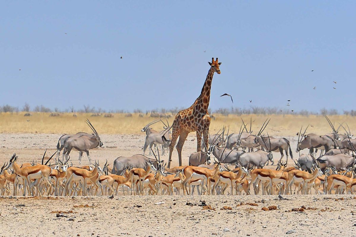 Experience Reise nach Namibia