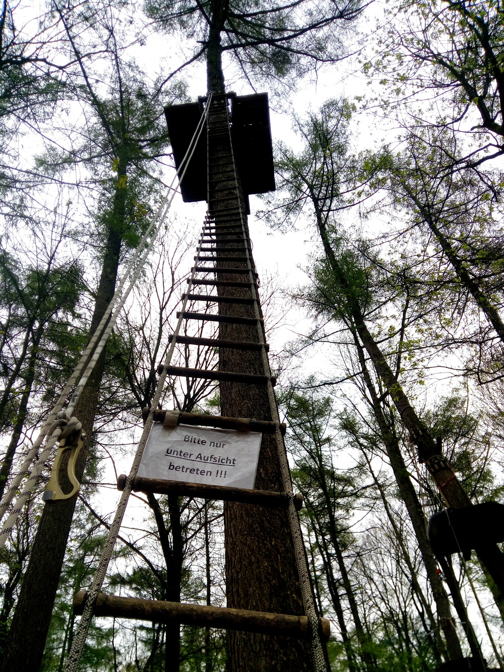 11 Meter ging es hinauf
