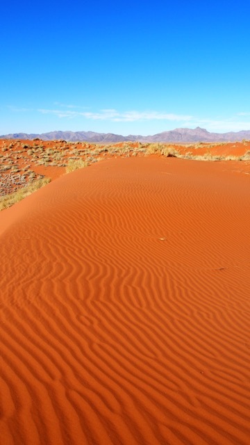 Rote Dünenlandschaft, NamibRand Nature Reserve Namibia © Foto Sabine Lueder