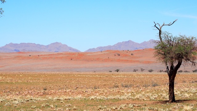 Wunderschöne Wüstenlandschaft, Namibia © Foto Sabine Lueder