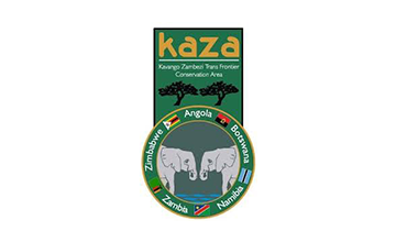 kaza